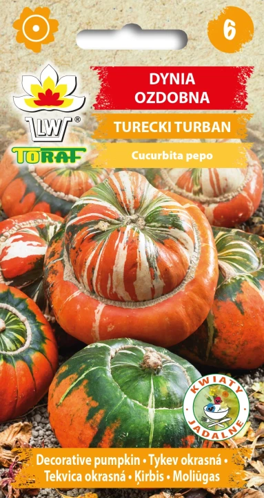 Dynia-ozdobna-TURECKI-TURBAN.webp