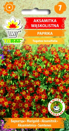 Aksamitka-wąskolistna-PAPRIKA.webp