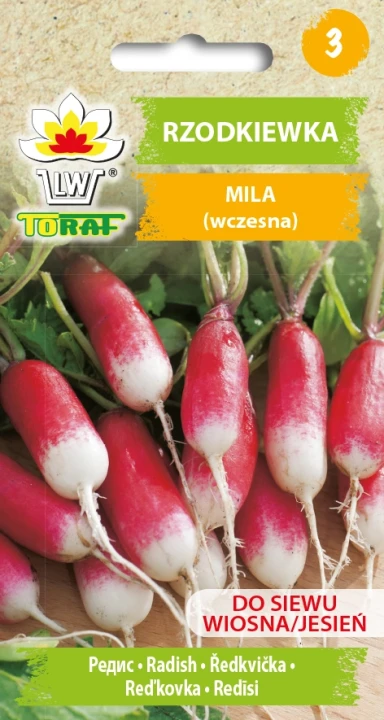 Rzodkiewka-MILA.webp