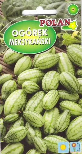 ogórek-meksykański.webp