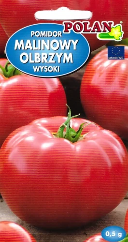 pomidor-malinowy-olbrzym.webp