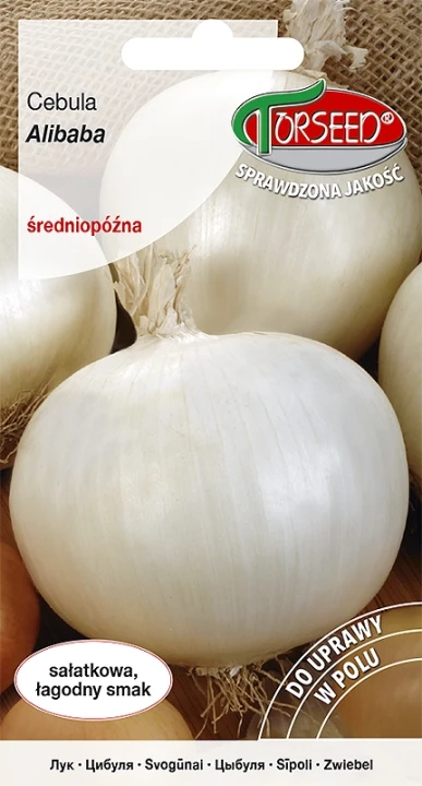 cebula-alibaba.webp