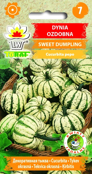 Dynia-ozdobna-SWEET-DUMPLING-.webp