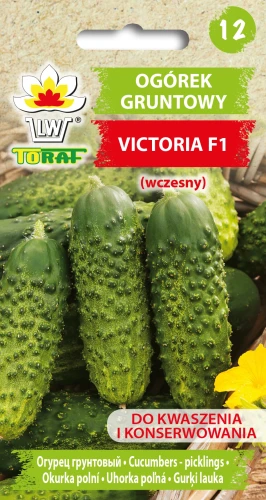 Ogórek-gruntowy-VICTORIA.webp