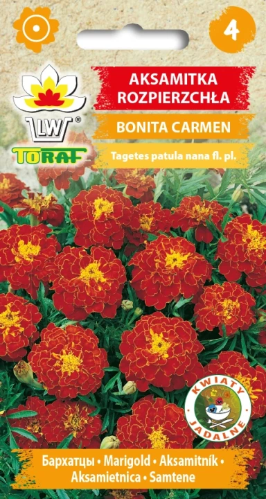 Aksamitka-rozpierzchła-BONITA-CARMEN.webp