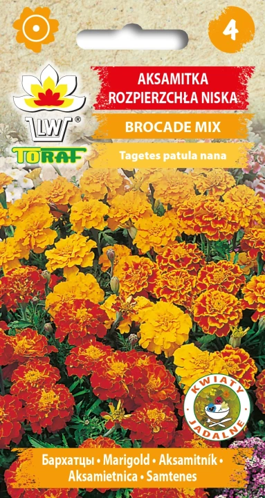 Aksamitka-rozpierzchła-niska-BROCADE-MIX.webp