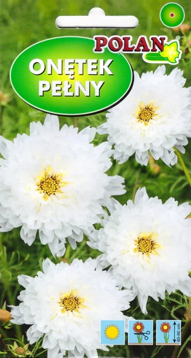 onętek-biały-double-click.webp