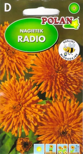 nagietek-radio.webp