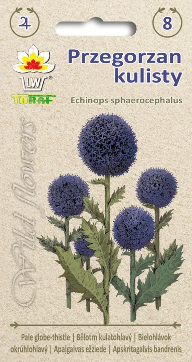Wild-flower-Przegorzan-kulisty.webp
