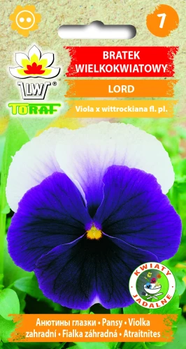 Bratek-wielkokwiatowy-LORD.webp