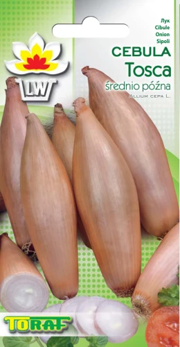 cebula-tosca.webp