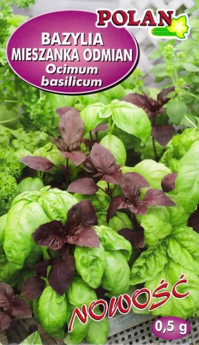 bazylia-mix-odmian.webp