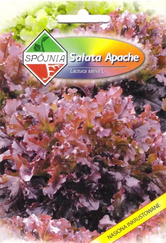 sałata-apache.webp
