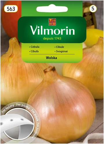 cebula-wolska-na-taśmie.webp