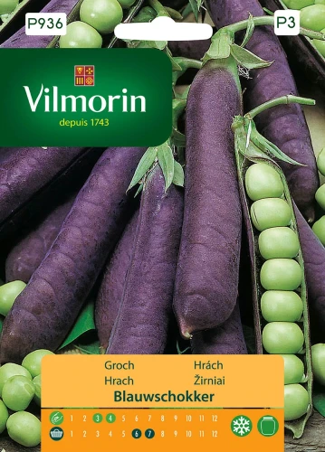 groch-blauwschokker.webp