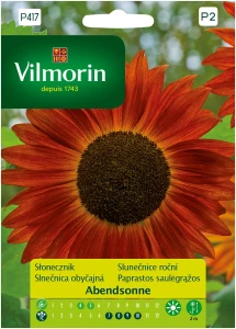 Słonecznik ozdobny Abendsonne nasiona 0,5g Vilmorin