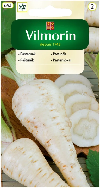 pasternak.webp