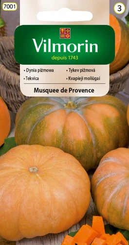dynia-mosquee-de-provence.webp