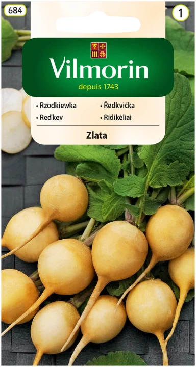 rzodkiewka-zlata.webp