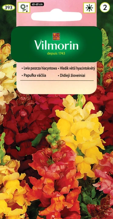 lwia-paszcza-hiacyntowa.webp