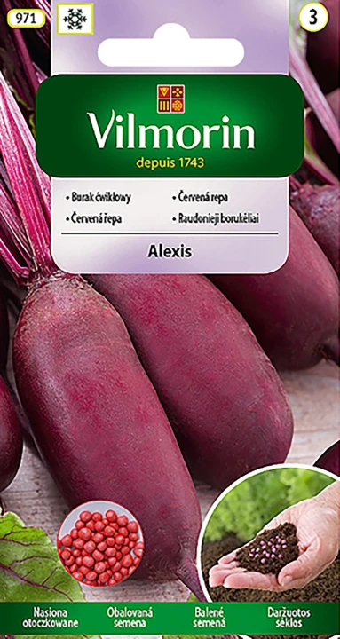 burak-alexis.webp