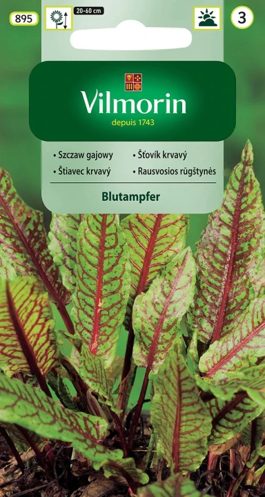 szczaw-gajowy-blutampfer.webp