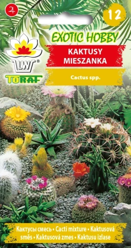 Kaktusy-MIX-ODMIAN.webp