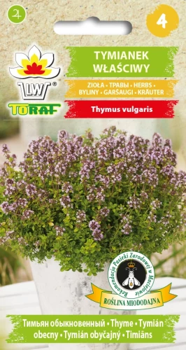 Tymianek-właściwy.webp