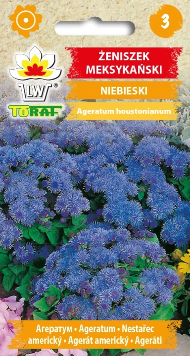 Żeniszek-meksykański-niebieski.webp