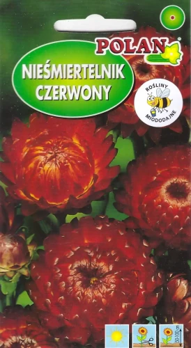 nieśmiertelnik-czerwony.webp