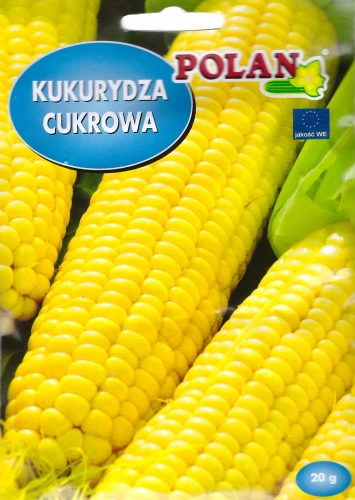 kukurydza-złota-karłowa.webp
