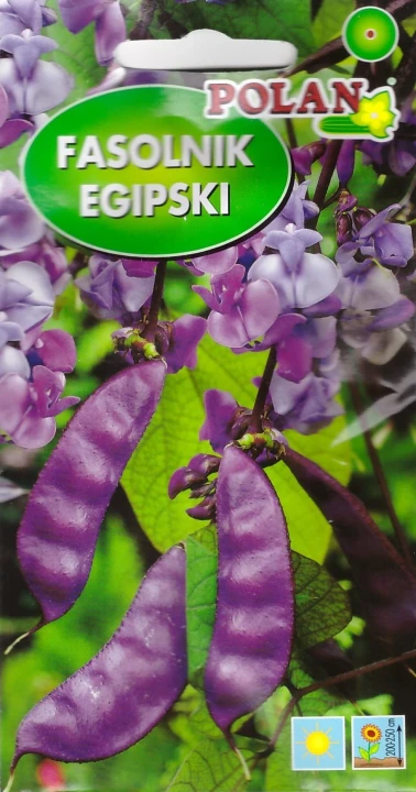 fasolnik-egipski.webp