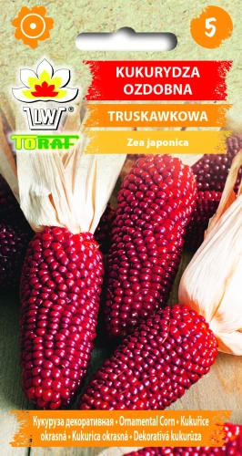 Kukurydza-ozdobna-CZERWONA.webp