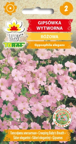 Gipsówka-wytworna-RÓŻOWA.webp