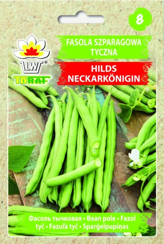 Fasola-HILDS-NECKARKONIGIN.webp