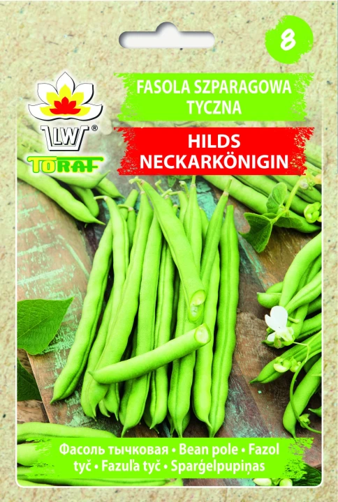 Fasola-HILDS-NECKARKONIGIN.webp
