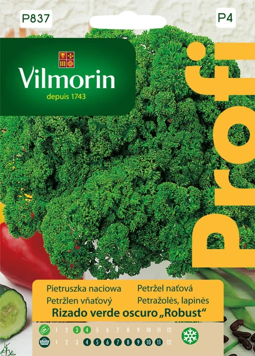 pietruszka-rizado-verde-oscuro-robust.webp