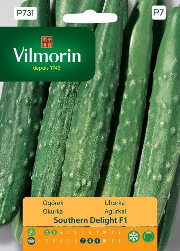ogórek-southern-delight.webp