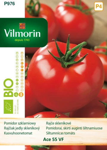 pomidor-ace-55.webp