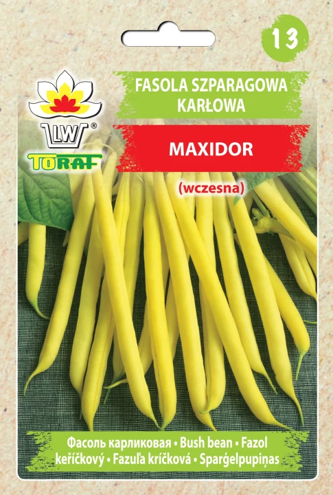 fasola-maxidor.webp