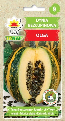 Dynia-olbrzymia-bezłupinowa-OLGA.webp