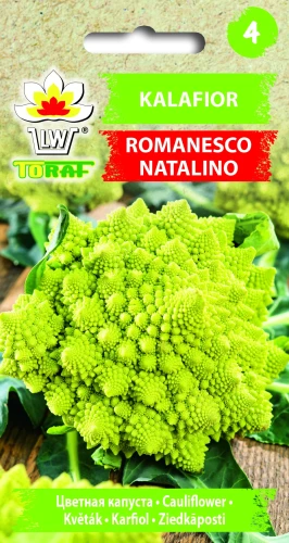 Kalafior-ROMANESCO-NATALINO.webp