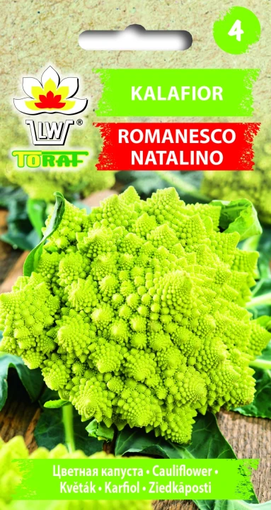 Kalafior-ROMANESCO-NATALINO.webp