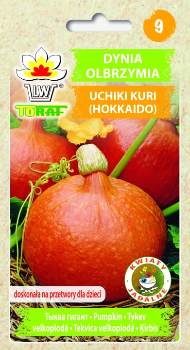 Dynia-olbrzymia-UCHIKI-KURI.webp