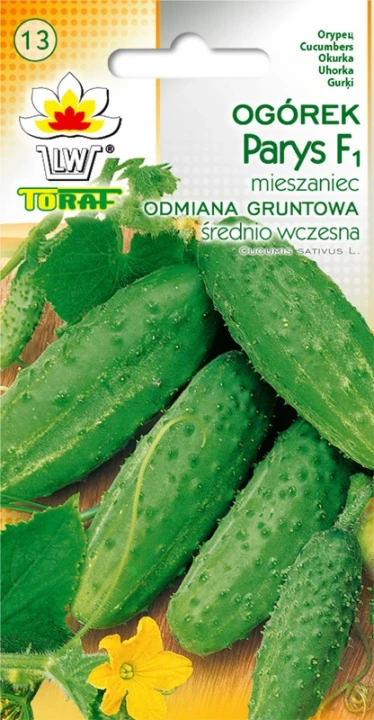 Ogórek-gruntowy-PARYS.webp