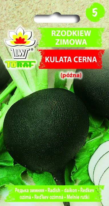Rzodkiew-zimowa-KULATA-CERNA.webp