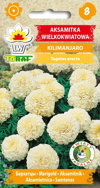 Aksamitka-wielkokwiatowa-KILIMANJARO.webp