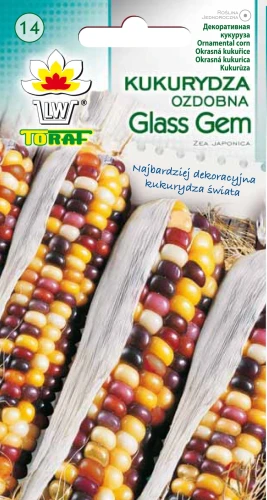 Kukurydza-ozdobna-GLASS-GEM.webp