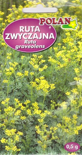 ruta zwyczajna pol.PNG