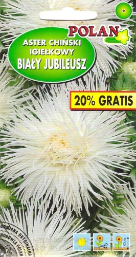 aster bialy jubileusz pol.jpg